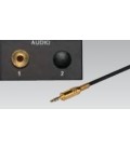 Inputs 1 for Stereo 3.5 mm Jack